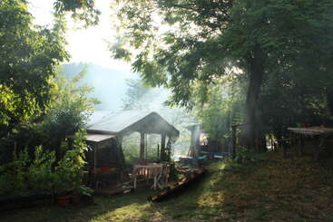 Sunlight filters through dense green trees onto a rustic, wooden shelter surrounded by overgrown plants. Mist or smoke floats in the air, creating a tranquil atmosphere.