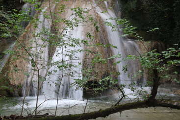 A serene waterfall cascades over rocks, framed by lush green branches in the foreground. The water flows into a calm pool, surrounded by nature.