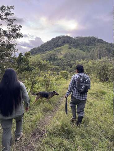 Two people and a dog walk along a grassy trail, surrounded by lush green vegetation and hills, under a dramatic, cloudy sky at sunset. Peaceful scene.