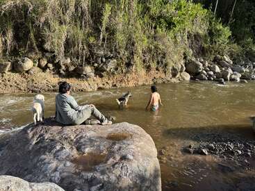 A person sits on a large rock beside a river with a dog, while another person and a dog enjoy the water, surrounded by nature.