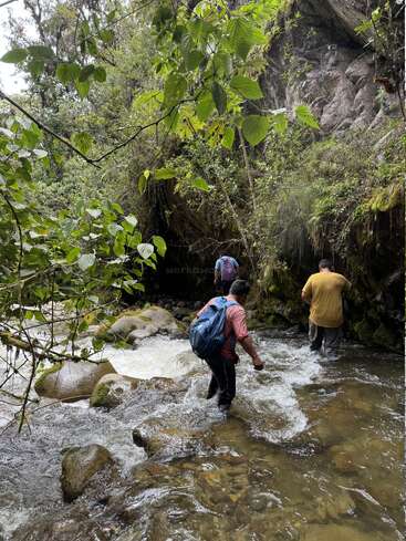 Three people cross a shallow, rocky stream in a dense, green forest. Overhanging branches and mossy stones surround them, creating a wild and adventurous atmosphere.
