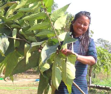 Una mujer sonriente, de pie al aire libre, sostiene una gran rama con hojas verdes y frondosas. El día es soleado y ella parece feliz, rodeada de una exuberante vegetación.