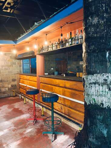 This cozy outdoor bar features colorful stools, warm lighting, a wooden counter, and a variety of bottles on display, with a tree adding natural charm.