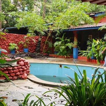 This image shows a vibrant courtyard with a small empty pool, lush green plants, red stone walls, blue planters, and a tropical, tranquil garden atmosphere.