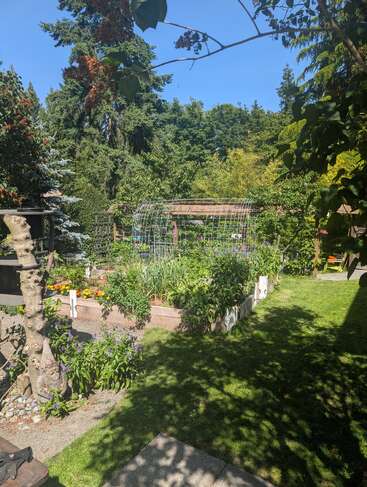 This image shows a lush, sunny garden with raised beds full of green plants and flowers, surrounded by trees, grassy paths, and a trellis structure.
