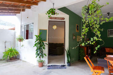 A cozy indoor-outdoor space with green and white walls, many potted and hanging plants, a wooden ceiling, comfy seating, and natural light creating a welcoming atmosphere.