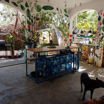 An open-air kitchen with a central island holding water jugs, colorful wall art with leafy patterns, plants, a grill, hanging utensils, and a black dog.
