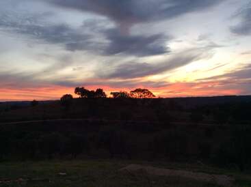 The image depicts a serene sunset scene, with a vibrant sky featuring pink and yellow hues, set against a backdrop of trees and a grassy field.
