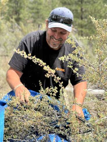 Un hombre sonriente, con gorra y gafas de sol, recoge ramas al aire libre y las va colocando sobre una lona azul, rodeado de naturaleza y con árboles verdes al fondo.
