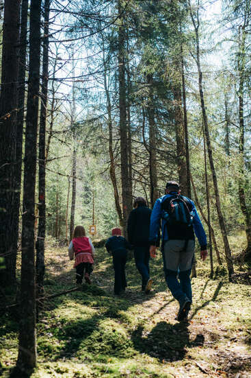 La imagen muestra a una familia de cuatro miembros caminando por un bosque, rodeados de altos árboles y exuberante vegetación, en un día soleado.