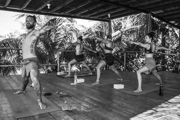 Um grupo de quatro pessoas pratica ioga em esteiras de madeira em uma área aberta e coberta, cercada por plantas tropicais, com a luz do sol entrando. Todos parecem concentrados e equilibrados.