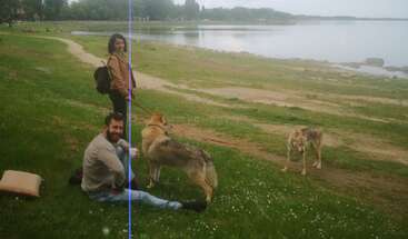 Drei Bilder zeigen Menschen, die sich mit zwei großen Hunden an einem See entspannen. Sie genießen die Wiese, gehen spazieren, sitzen da und unterhalten sich unter einem ruhigen, bewölkten Himmel.