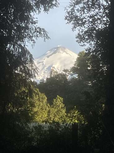Una montaña nevada se eleva dramáticamente en la distancia, enmarcada por frondosos árboles verdes y follaje. La luz del sol ilumina suavemente el paisaje, creando una apacible escena natural.