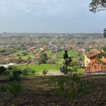 Esta imagen muestra un tranquilo pueblo rural con campos verdes, casas de colores, árboles y un río al fondo, bajo un cielo nublado, visto desde la ladera de una colina.