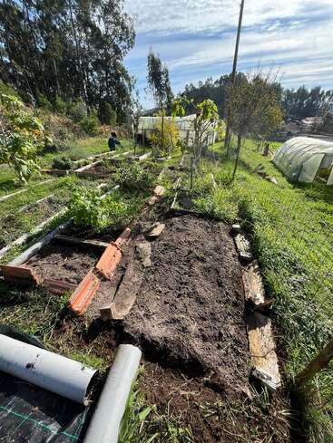 Esta imagem mostra uma horta ensolarada com vários canteiros retangulares, alguns cobertos de terra, plantas verdes, uma pessoa trabalhando, árvores e duas estufas.
