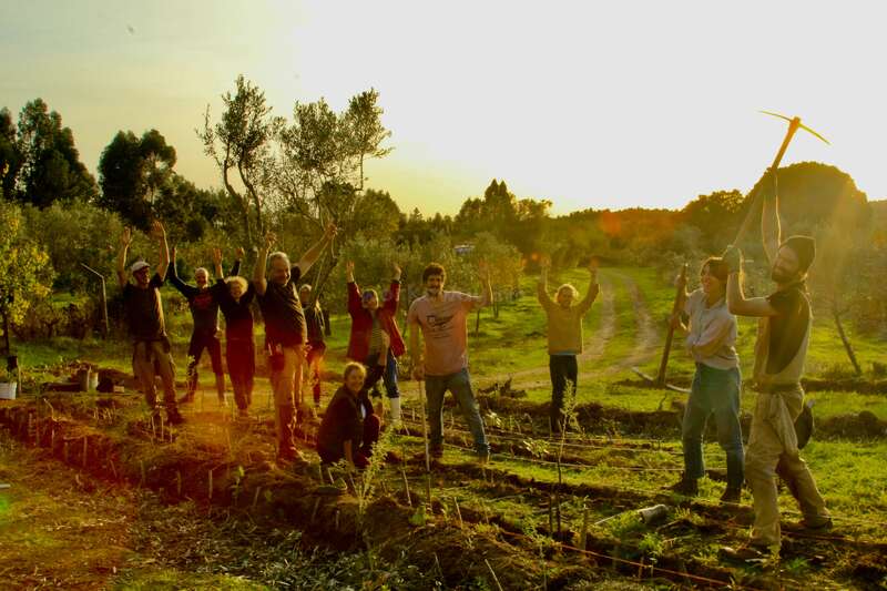 Un grupo de personas trabajan alegremente juntas al aire libre en un exuberante y verde jardín al atardecer, celebrando mientras cavan, plantan y levantan herramientas, rodeados de naturaleza.