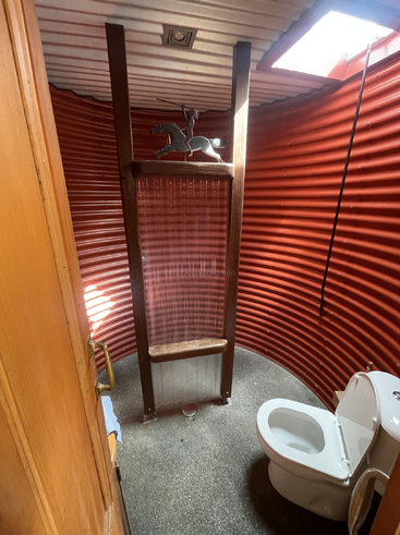 The image depicts a small bathroom with a toilet, red corrugated metal walls, and a wooden ladder, featuring a metal horse sculpture on top of the ladder.