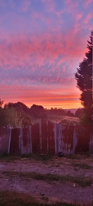 La foto captura un brillante cielo al atardecer con vibrantes tonos rosados, naranjas y morados sobre láminas de metal oxidadas, árboles y un accidentado camino de tierra en primer plano.
