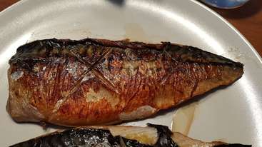 Das Bild zeigt einen Teller mit gekochtem Fisch, wahrscheinlich Lachs, mit einer hellbraunen Haut und weißem Fleisch, garniert mit Grünzeug, vor einem schlichten Hintergrund. Der Fisch ist ordentlich und übersichtlich angeordnet.