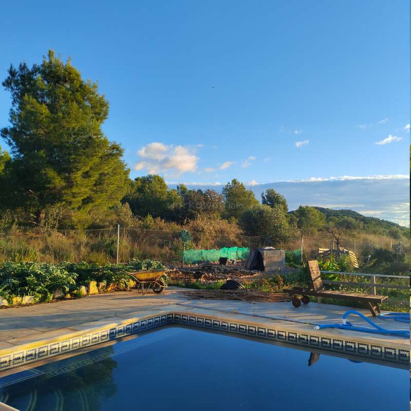 A serene rural backyard with a blue swimming pool, surrounded by trees, garden plants, a wheelbarrow, rustic benches, and clear sky at sunset. Peaceful atmosphere.
