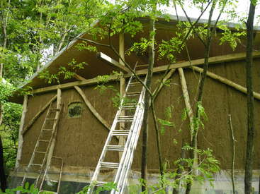 La imagen representa una estructura rústica de madera con una escalera apoyada en ella, rodeada de árboles y follaje, en un entorno natural.