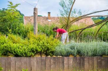 Una persona cuida de un jardín con vegetación y una valla de fondo. La imagen es de un jardín con una valla, con vegetación y una valla, que transmite una sensación de crecimiento y mantenimiento.