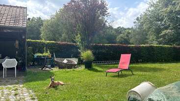 Ein sonniger Garten mit grünem Rasen, einem faulenzenden Hund, einem rosa Stuhl, Topfpflanzen, Gartenmöbeln und Bäumen im Hintergrund – eine friedliche Szene im Freien.