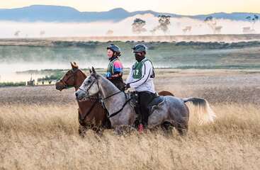 Two riders on horseback, wearing helmets and numbered vests, travel through tall grass with misty fields, distant trees, and mountains in the background at sunrise.