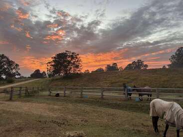 A peaceful rural scene at sunrise, featuring a paddock with three horses wearing blankets, wooden fencing, grassy hills, and a dramatic orange sky with scattered clouds.