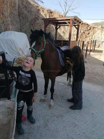 L'image représente deux enfants debout à côté d'un cheval brun portant un licou vert, dans une écurie ou un corral, avec une structure en bois et des bottes de foin à l'arrière-plan.