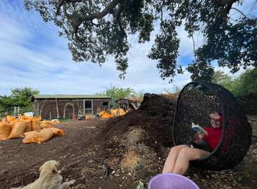 Une personne se détend dans un fauteuil suspendu en lisant un livre aux côtés d'un chien, sous un grand arbre, avec des sacs orange et un abri en arrière-plan.