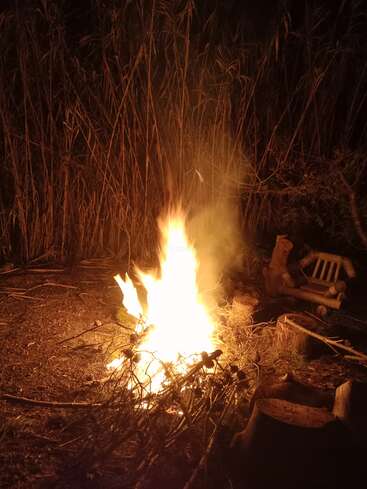 A imagem mostra uma pequena fogueira com uma chama brilhante, cercada por gravetos e galhos, em um fundo escuro de grama alta ou juncos.
