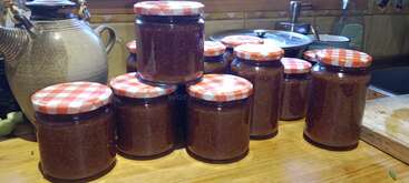 A imagem mostra uma coleção de potes cheios de um líquido transparente, provavelmente geleia ou conservas, dispostos em uma mesa ou bancada, com um plano de fundo neutro e sem objetos ou ações de destaque.