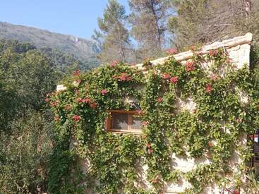 The image depicts a charming white stone building adorned with lush green vines and vibrant pink flowers, set against a picturesque mountainous backdrop.