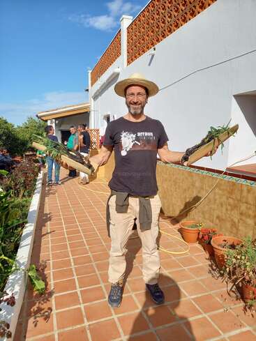 A imagem mostra um homem em pé em um pátio de azulejos, segurando tábuas de madeira com plantas verdes, usando um chapéu de palha e uma camiseta, cercado por um ambiente externo sereno.
