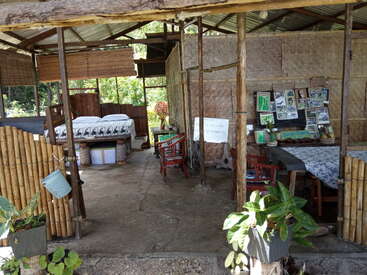 This image shows a rustic, open-air room with bamboo walls, a bed, chairs, tables, plants, and pictures, blending seamlessly with its lush, green outdoor surroundings.