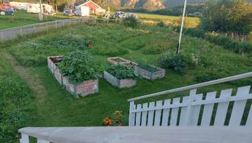 Das Bild zeigt eine ruhige Szene im Freien mit einem Garten, einem Holzzaun, einem Baum und einem Gewässer und vermittelt ein Gefühl von Ruhe und natürlicher Schönheit.