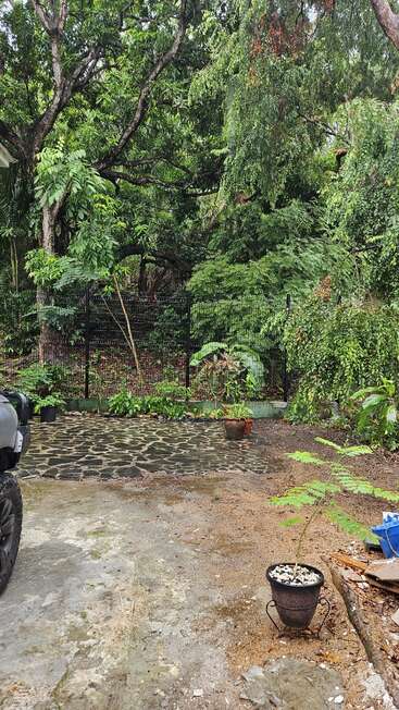 Um quintal verde e exuberante com árvores altas, vasos de plantas, calçada de pedra molhada e uma cerca de metal preta. O pneu de um carro está parcialmente visível à esquerda.