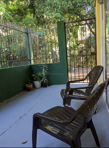 Duas cadeiras de plástico marrom estão sobre um piso azul em um pátio pequeno e fechado com vasos de plantas, paredes verdes, barras de metal e muita vegetação ao redor.