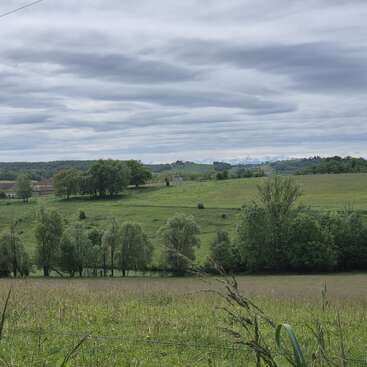 Uma paisagem rural tranquila com colinas verdes onduladas, árvores espalhadas, casas distantes e céu nublado. O horizonte mostra montanhas, acrescentando profundidade à cena tranquila.