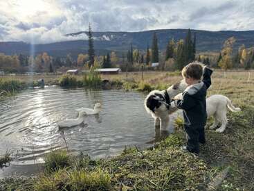 Uma criança pequena está em um lago acariciando um cachorro, enquanto dois patos brancos nadam. Montanhas, árvores de outono e uma paisagem rural tranquila preenchem o plano de fundo.