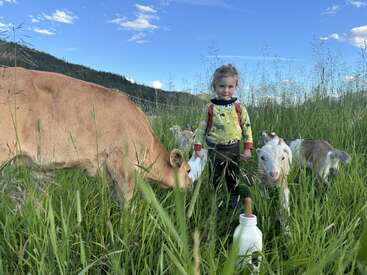 Uma criança pequena está na grama alta e verde, cercada por cabras e uma vaca. Há garrafas para alimentação por perto. O céu está azul e ensolarado.