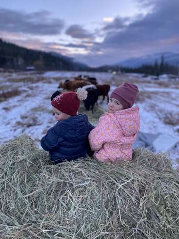 Duas crianças pequenas com casacos e chapéus de inverno sentadas em um fardo de feno. Paisagem com neve, vacas pastando e montanhas ao fundo durante o pôr do sol. Cena tranquila de fazenda.