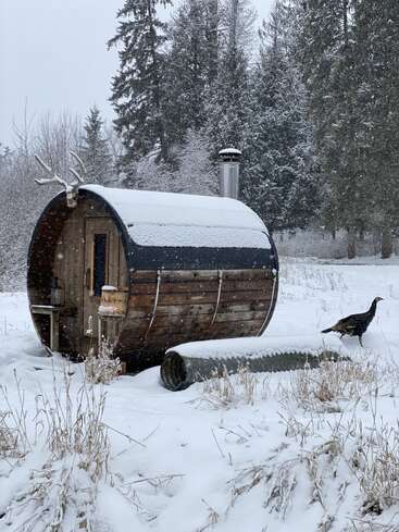 Uma sauna de barril de madeira fica em uma clareira na floresta coberta de neve, com um peru caminhando nas proximidades. A neve cobre o chão, as árvores e o teto da sauna. Cena tranquila.