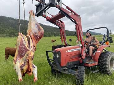 Um homem e uma criança sentados em um trator vermelho em um campo verde, criando carne recém-abatida. As vacas pastam ao fundo, cercadas pela natureza.