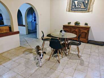 Esta imagen muestra un comedor con una mesa de cristal, cuatro sillas, dos perros, un armario de madera, plantas de interior, puertas arqueadas y un tapiz geométrico en la pared.