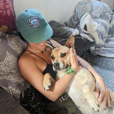 La imagen muestra a una mujer sentada en un sofá, acunando a un perro en su regazo, con un ambiente acogedor y una mezcla de mantas y almohadas rodeándoles.
