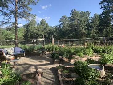 This image shows a peaceful garden with lush greenery, cozy outdoor seating, trees in the background, stone paths, and bright sunlight under a clear blue sky.