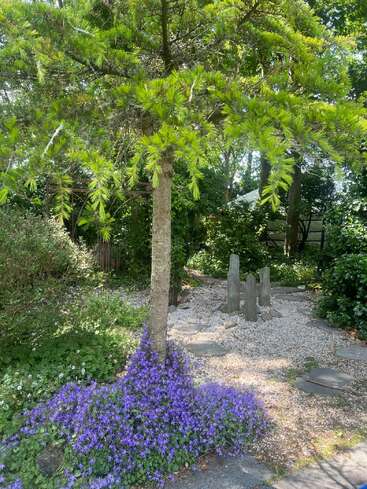 A serene garden scene with a small tree surrounded by vibrant purple flowers. Pebble path leads to upright stones, lush greenery, and dappled sunlight throughout. Peaceful atmosphere.
