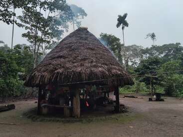 Uma cabana tradicional com telhado de palha fica em uma clareira na floresta. A fumaça sai de uma fogueira dentro dela. Árvores verdes exuberantes cercam a cabana. A área parece tranquila.